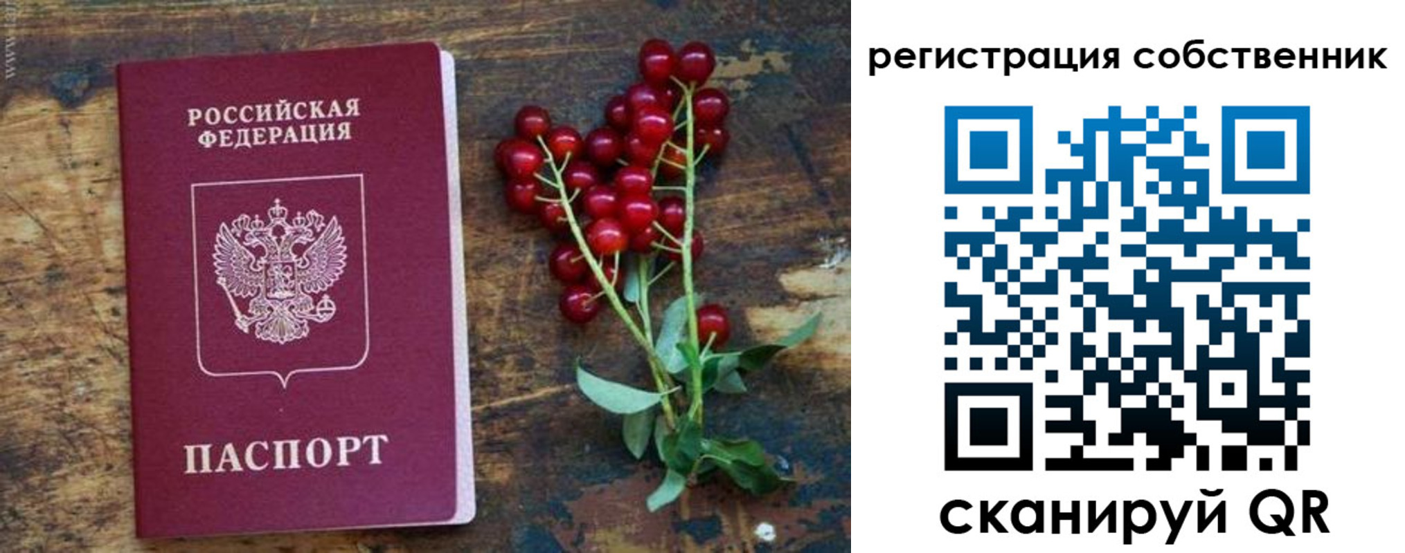 регистрация для дет. сада в Буйе